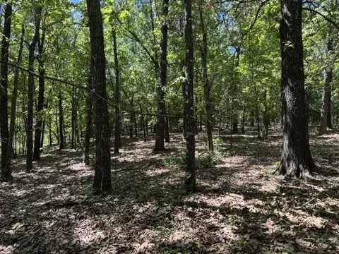 Other - 3863 Browns Chapel Rd, Viola, AR 72583 photo 17 of 21