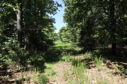 Other - 3863 Browns Chapel Rd, Viola, AR 72583 photo 8 of 21