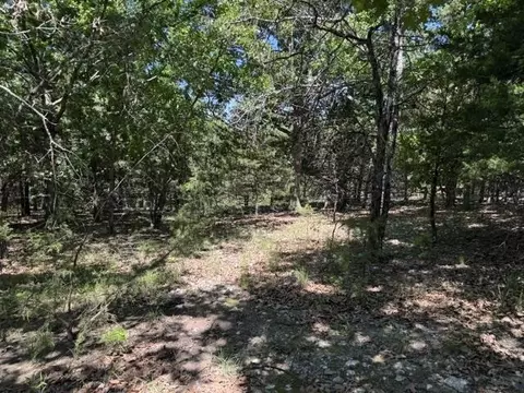 Other - 3863 Browns Chapel Rd, Viola, AR 72583 photo 21 of 21