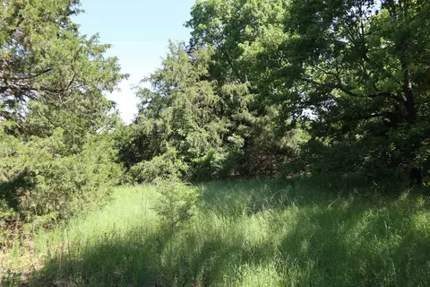 Other - 3863 Browns Chapel Rd, Viola, AR 72583 photo 14 of 21