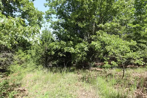 tbd Browns Chapel Rd, Viola, AR 72853 photo 2