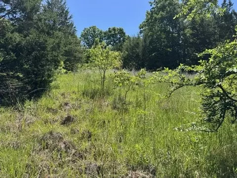 tbd Browns Chapel Rd, Viola, AR 72853 photo 5