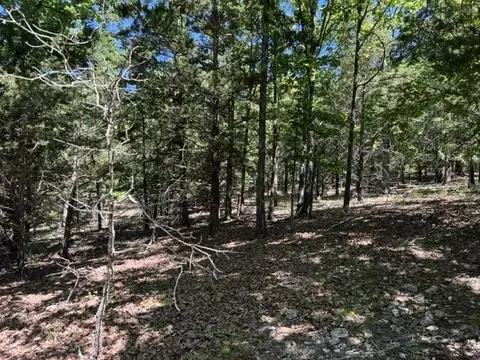 tbd Browns Chapel Rd, Viola, AR 72853 photo 4
