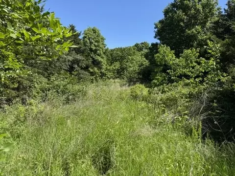 tbd Browns Chapel Rd, Viola, AR 72853 photo 3