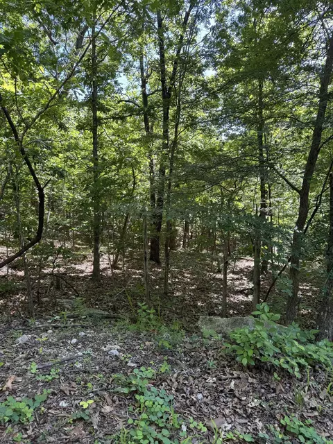 tbd Spokane Dr, Cherokee Village, AR 72529