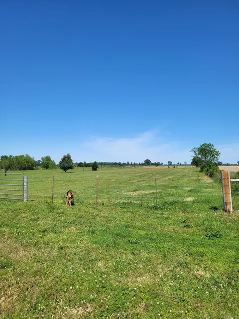 Other - 1050 County Road 481, Rector, AR 72461 photo 18 of 19