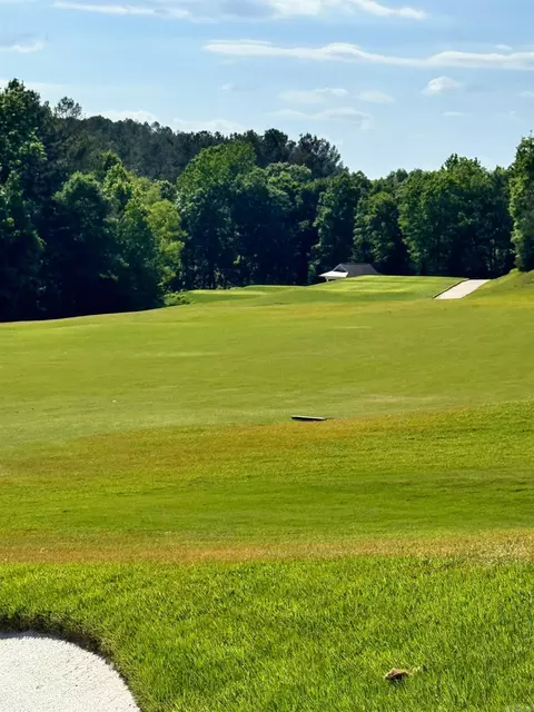 32 Ruedo Ln, Hot Springs Village, AR 71909