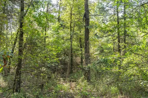 Other - 3024 Red Bench Rd, Paris, AR 72855 photo 13 of 24