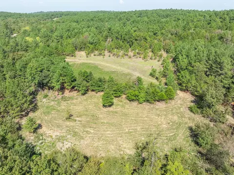 Other - 3024 Red Bench Rd, Paris, AR 72855 photo 8 of 24