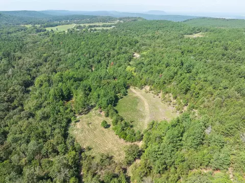 Other - 3024 Red Bench Rd, Paris, AR 72855 photo 6 of 24