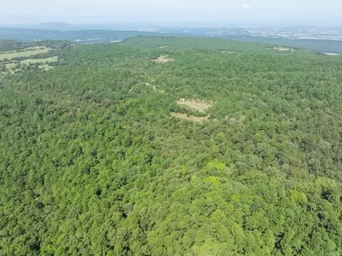 Other - 3024 Red Bench Rd, Paris, AR 72855 photo 5 of 24