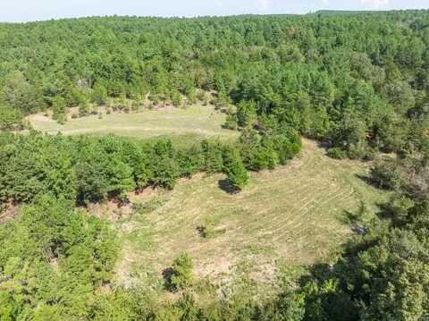 View/Area - 3024 Red Bench Rd, Paris, AR 72855 photo 3 of 4