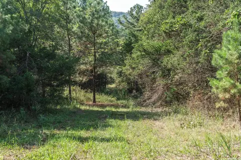Other - 3024 Red Bench Rd, Paris, AR 72855 photo 9 of 24