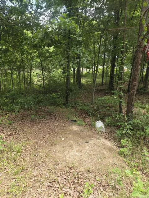 tbd Polk Rd 76 E, Mena, AR 71953 photo 3