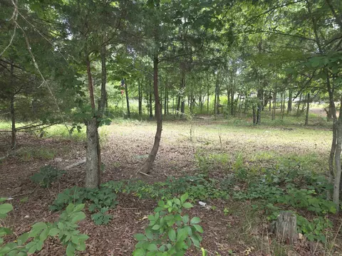tbd Polk Rd 76 E, Mena, AR 71953 photo 5