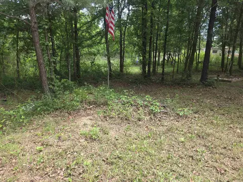 tbd Polk Rd 76 E, Mena, AR 71953 photo 2