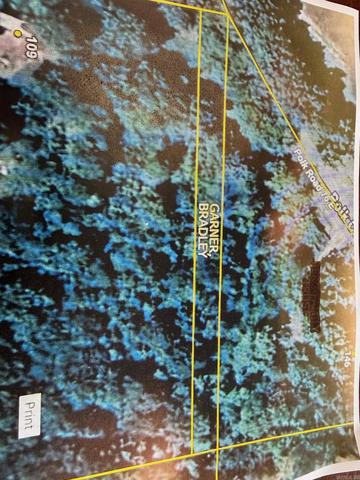 tbd Polk Rd 76 E, Mena, AR 71953