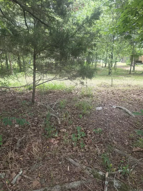 tbd Polk Rd 76 E, Mena, AR 71953 photo 6