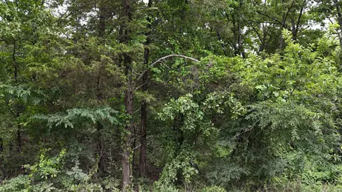 0 Pleasant Grove Loop, Cleveland, AR 72030