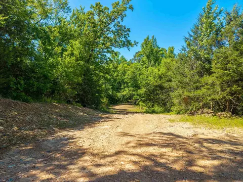 000 Timberlake Dr, Royal, AR 71968 photo 24