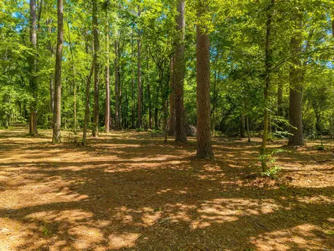 000 Timberlake Dr, Royal, AR 71968 photo 22