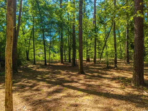 000 Timberlake Dr, Royal, AR 71968 photo 4