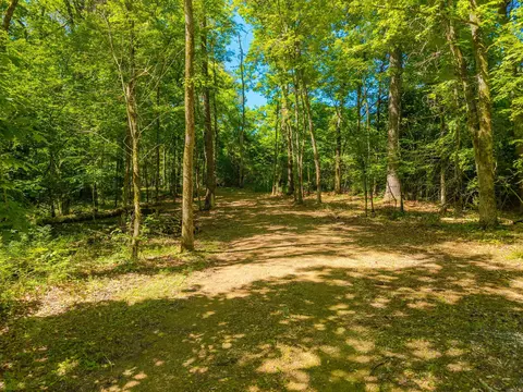 000 Timberlake Dr, Royal, AR 71968 photo 26