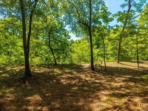 000 Timberlake Dr, Royal, AR 71968 photo 5
