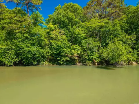 000 Timberlake Dr, Royal, AR 71968 photo 18