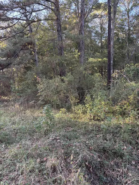 tbd Beavert Ln, Murfreesboro, AR 71958 photo 3