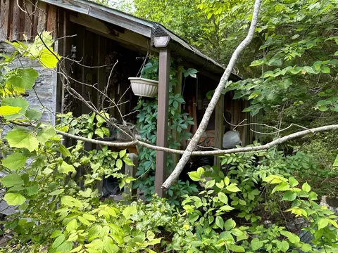 Exterior - 000 Mc 5019, Pyatt, AR 72672 photo 15 of 22