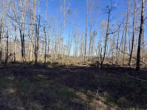 000 Philis Dr, Hensley, AR 72065 photo 3
