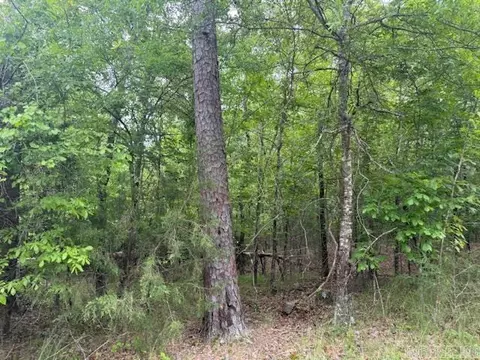 118 Cifuentes Way, Hot Springs Village, AR 71909