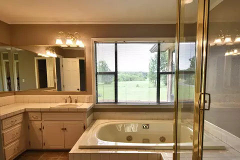 Bath - 170 Riverview Dr, Malvern, AR 72104 photo 5 of 6