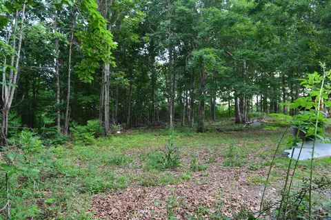 Exterior - 792 Gutter Rd, Harriet, AR 72639 photo 5 of 8