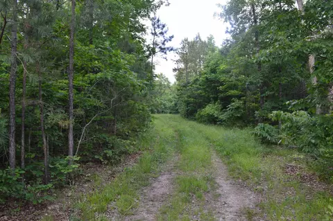 Other - 792 Gutter Rd, Harriet, AR 72639 photo 6 of 9