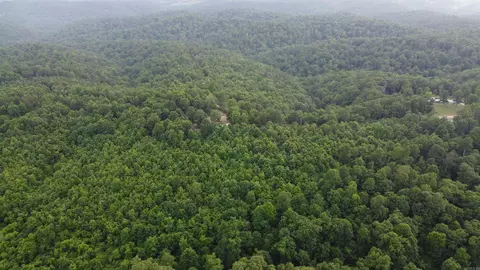 Other - 792 Gutter Rd, Harriet, AR 72639 photo 2 of 9
