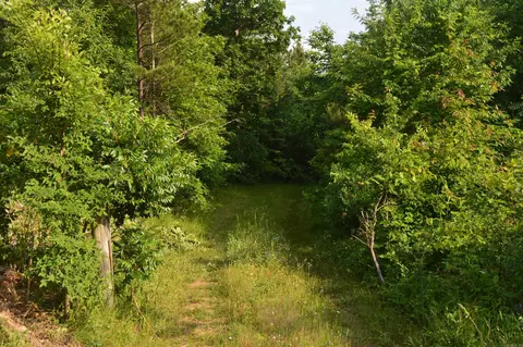 Other - 792 Gutter Rd, Harriet, AR 72639 photo 3 of 9