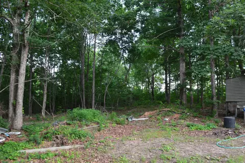 Exterior - 792 Gutter Rd, Harriet, AR 72639 photo 7 of 8