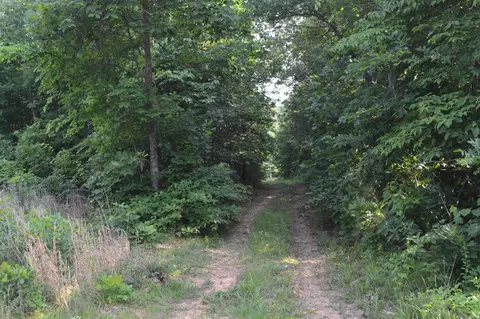 Exterior - 792 Gutter Rd, Harriet, AR 72639 photo 2 of 8