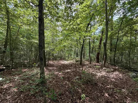 1200 Bear Mountain Rd, Prim, AR 72130 photo 5