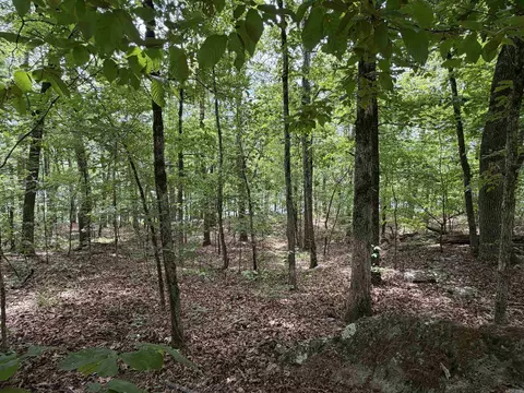 1200 Bear Mountain Rd, Prim, AR 72130 photo 6
