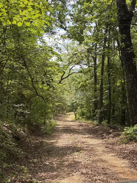 1200 Bear Mountain Rd, Prim, AR 72130 photo 10