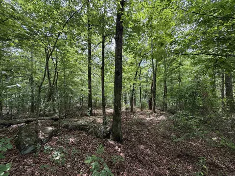 1200 Bear Mountain Rd, Prim, AR 72130 photo 4