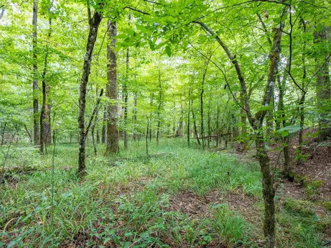 1 Camino Rd, Hot Springs Village, AR 71909