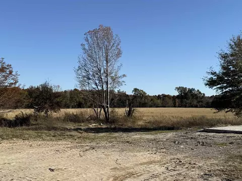 2220 Duck Levee, Biggers, AR 72413