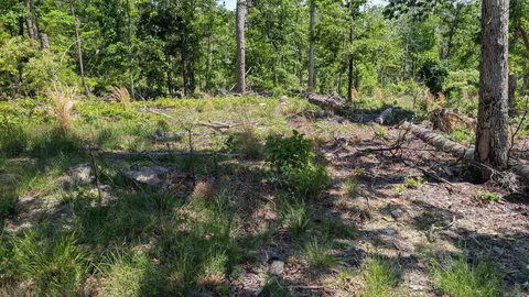 000 Rodrigo Way, Hot Springs Village, AR 71909