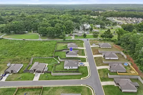 View/Area - 12 Erwin Dr, Austin, AR 72007 photo 3 of 5
