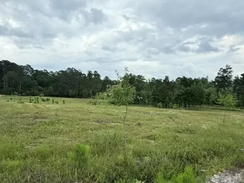 2184 Ozark Loop, Bismarck, AR 71929 photo 14