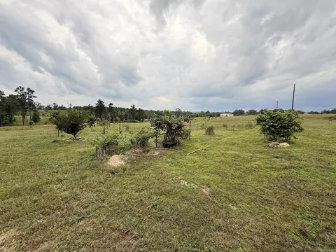 2184 Ozark Loop, Bismarck, AR 71929 photo 7